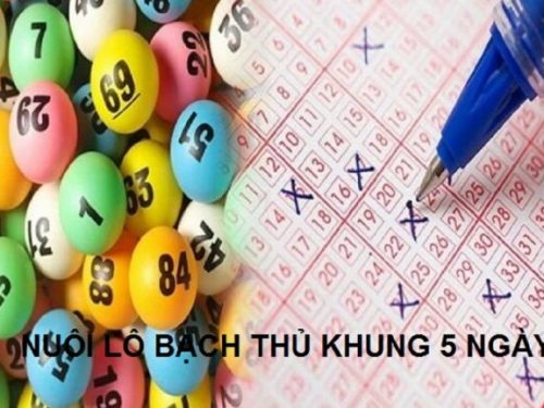 bí quyết nuôi lô khung 5 ngày cho người mới